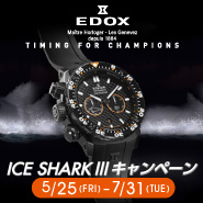 �G�h�b�N�X�̃A�C�X�V���[�N�V�S���L�����y�[��