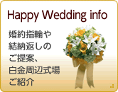 happy wedding info